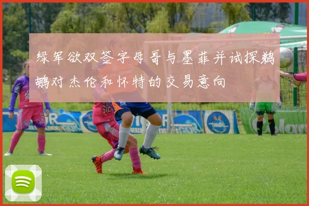 绿军欲双签字母哥与墨菲并试探鹈鹕对杰伦和怀特的交易意向