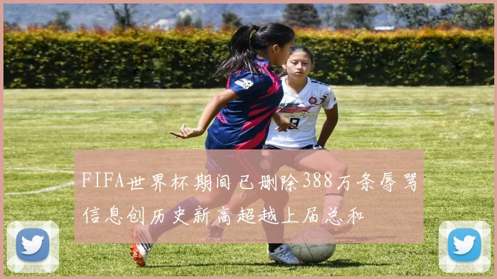 FIFA世界杯期间已删除388万条辱骂信息创历史新高超越上届总和